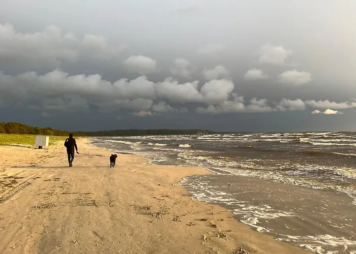 Ainulaadne Ringmaja Liivaranna Laeheduses * Vaana-Joesuu